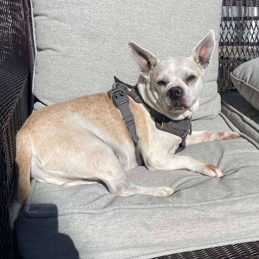 Meet your Posher, Matthew